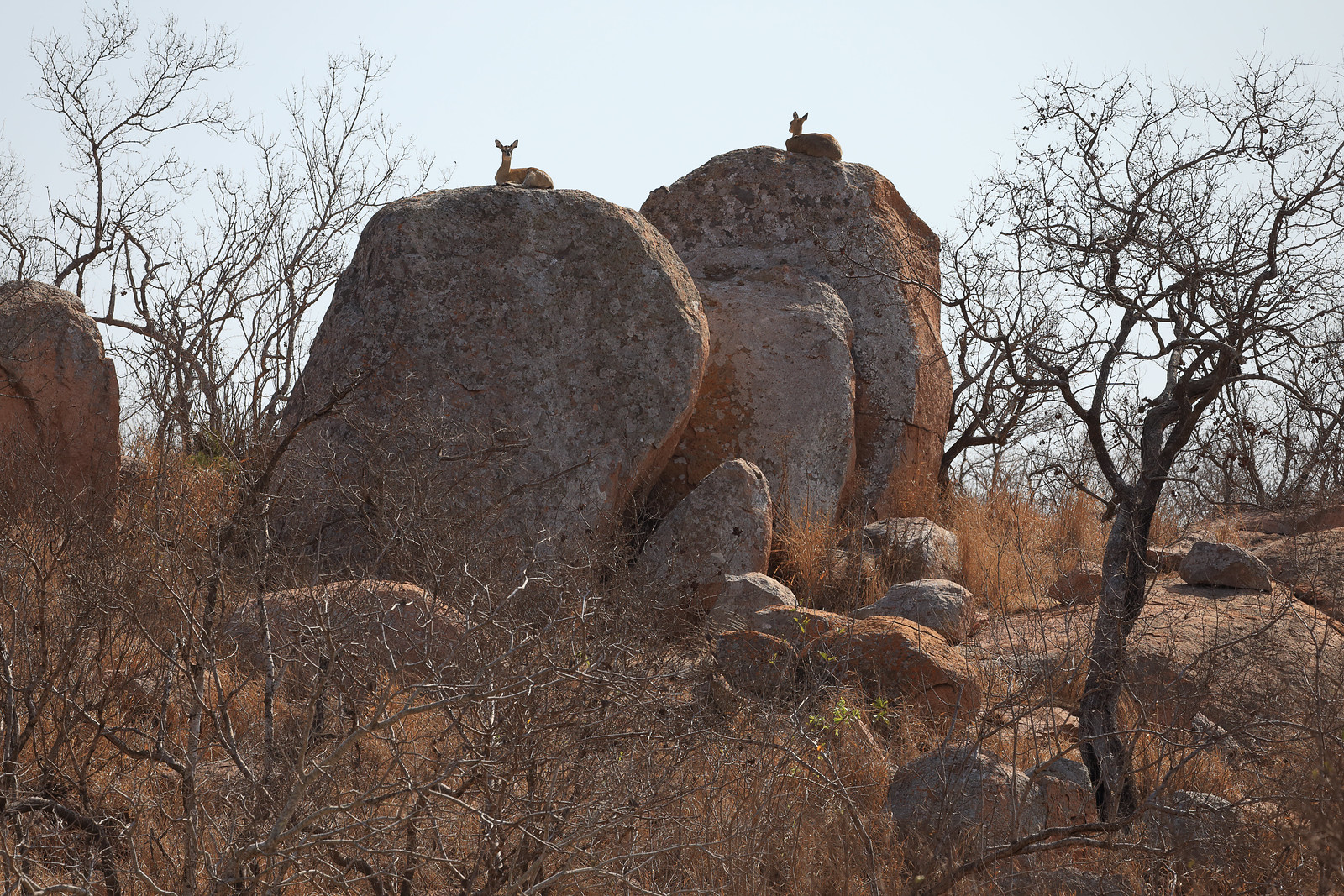 Upemba National Park2