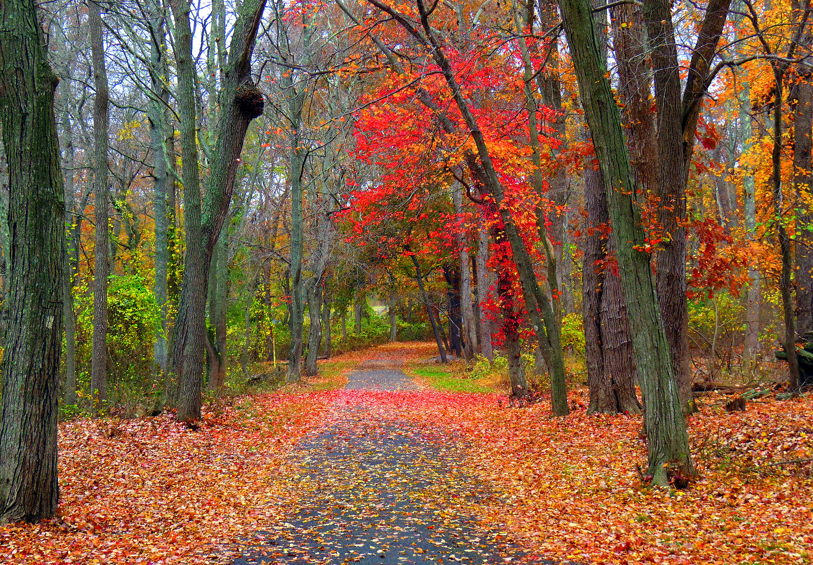 22867856456_9c2dbc351a_h