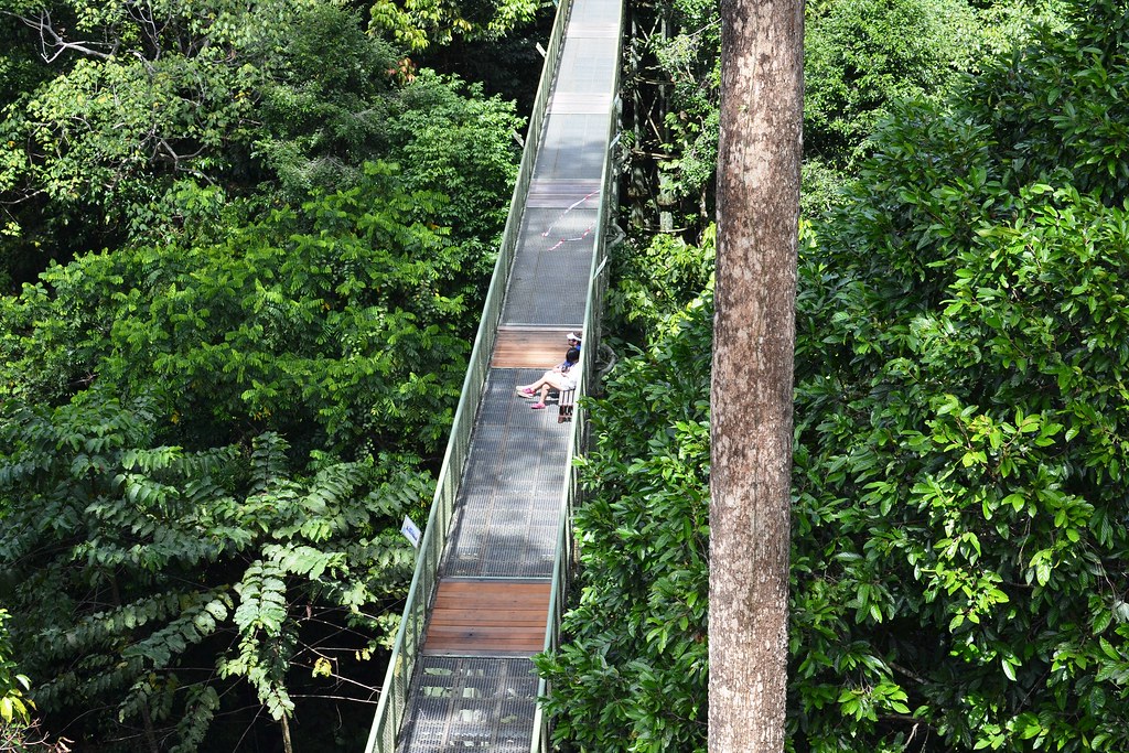 Canopy Walks