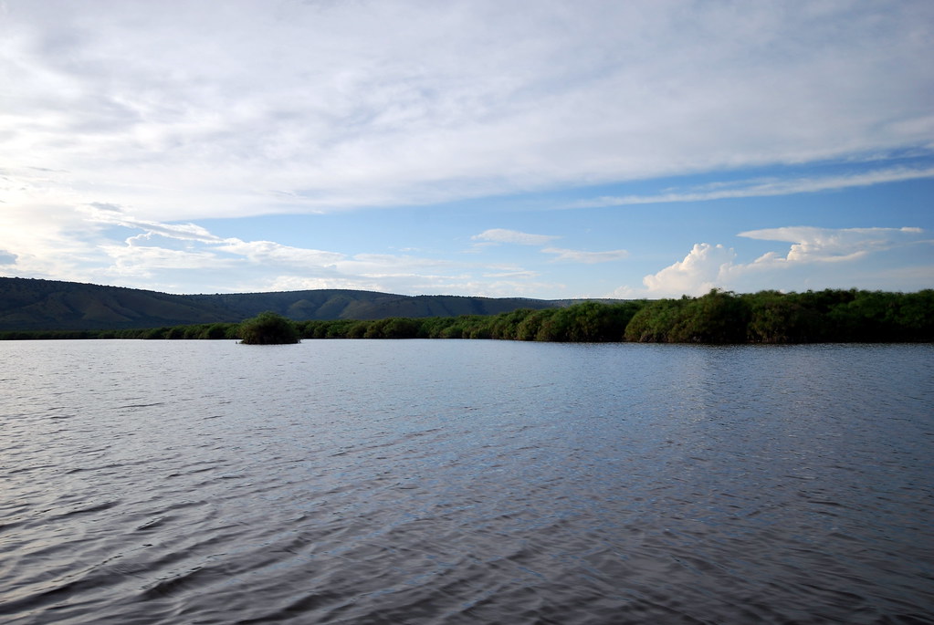 Lake Mburo3