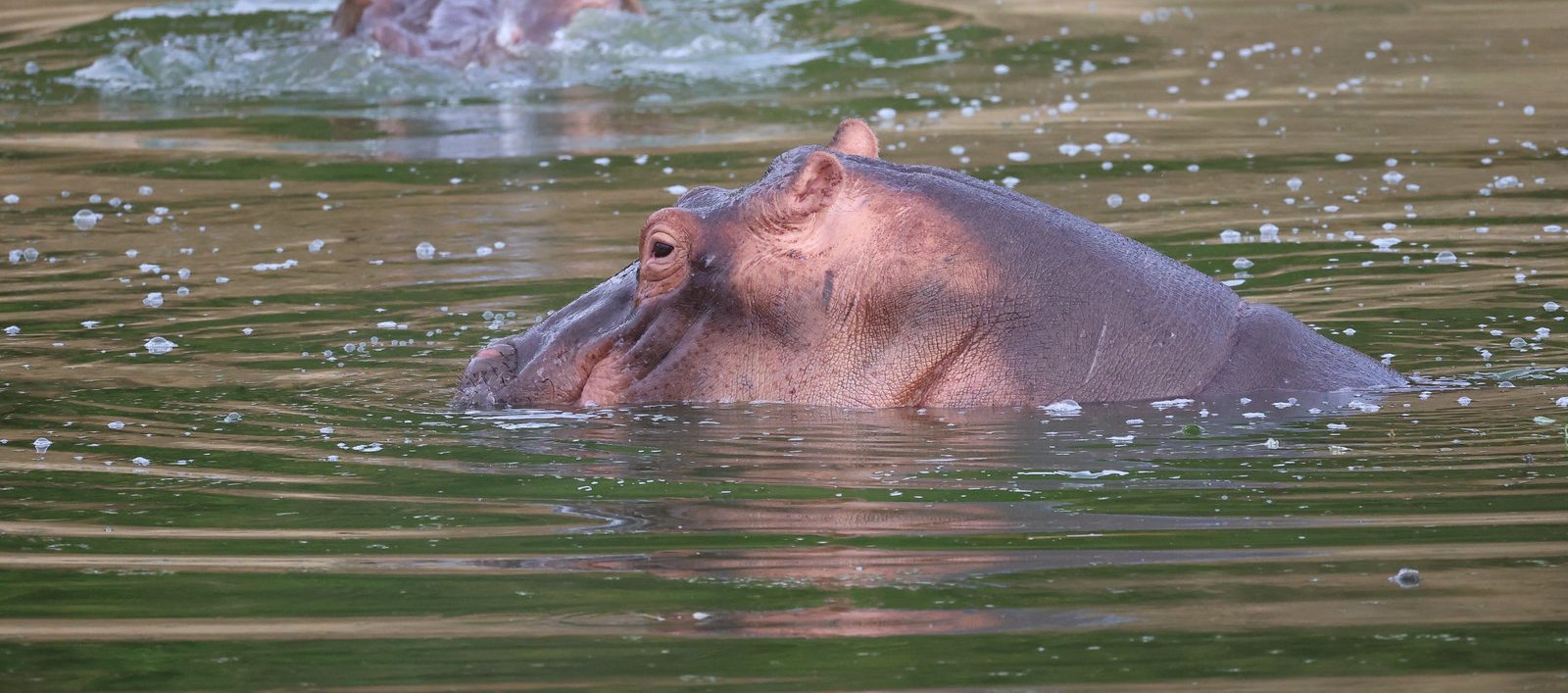 Queen Elizabeth National Park