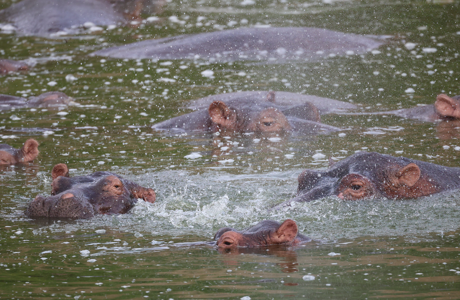 Queen Elizabeth National Park3