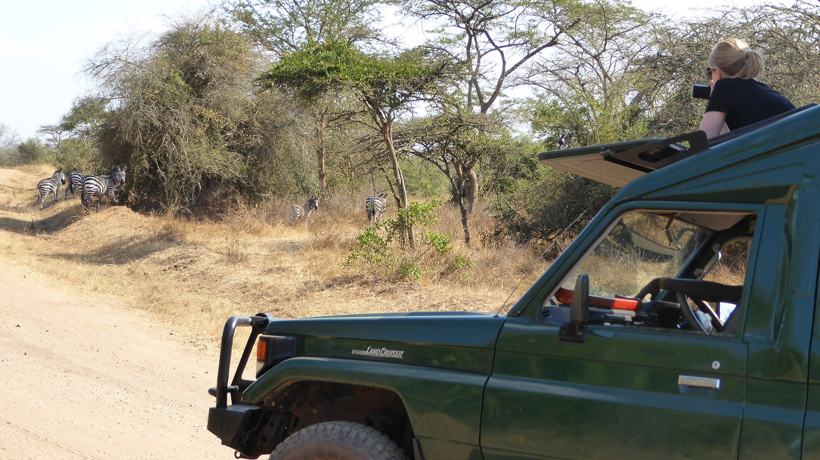 safaris land cruiser