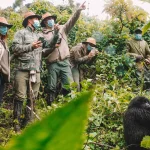Chimpanzee Tracking in Rwanda
