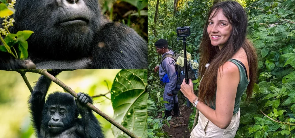 Combining Congo Rwanda and Uganda in One Safari Itinerary