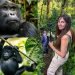 Combining Congo Rwanda and Uganda in One Safari Itinerary