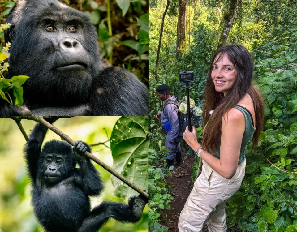 Combining Congo Rwanda and Uganda in One Safari Itinerary