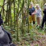 Expect on Your First Gorilla Trek