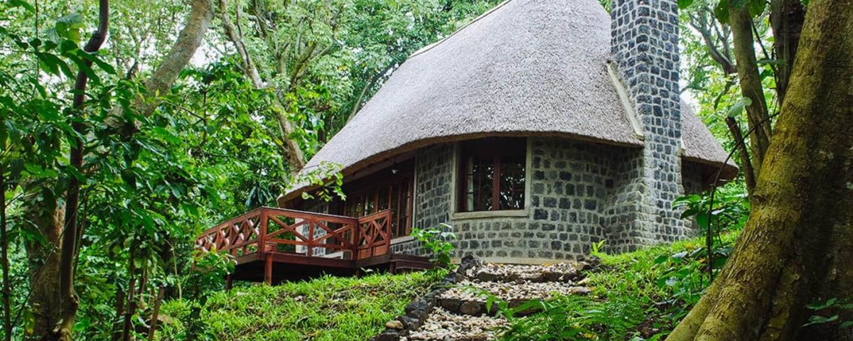 The Best Lodges Near Virunga National Park for Gorilla Trekking