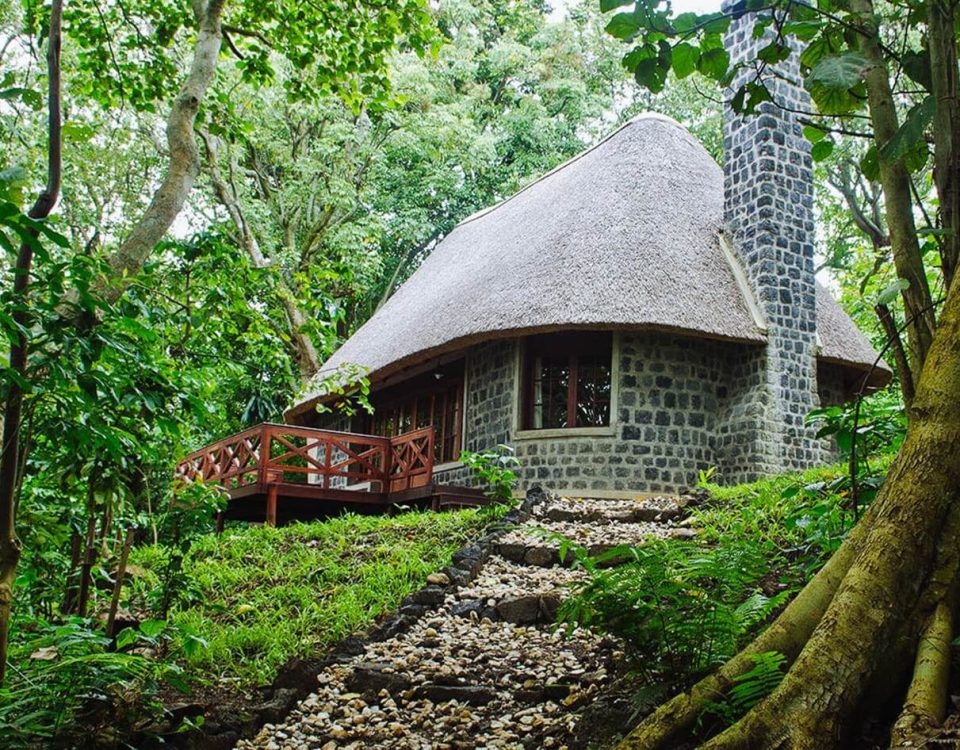 The Best Lodges Near Virunga National Park for Gorilla Trekking