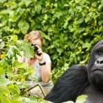 Virunga National Park Gorilla Permits