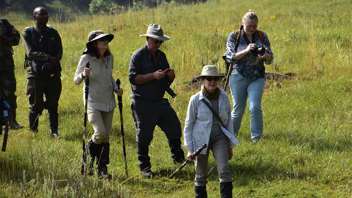 What to Wear for Gorilla Trekking