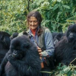 Dian Fossey's Legacy