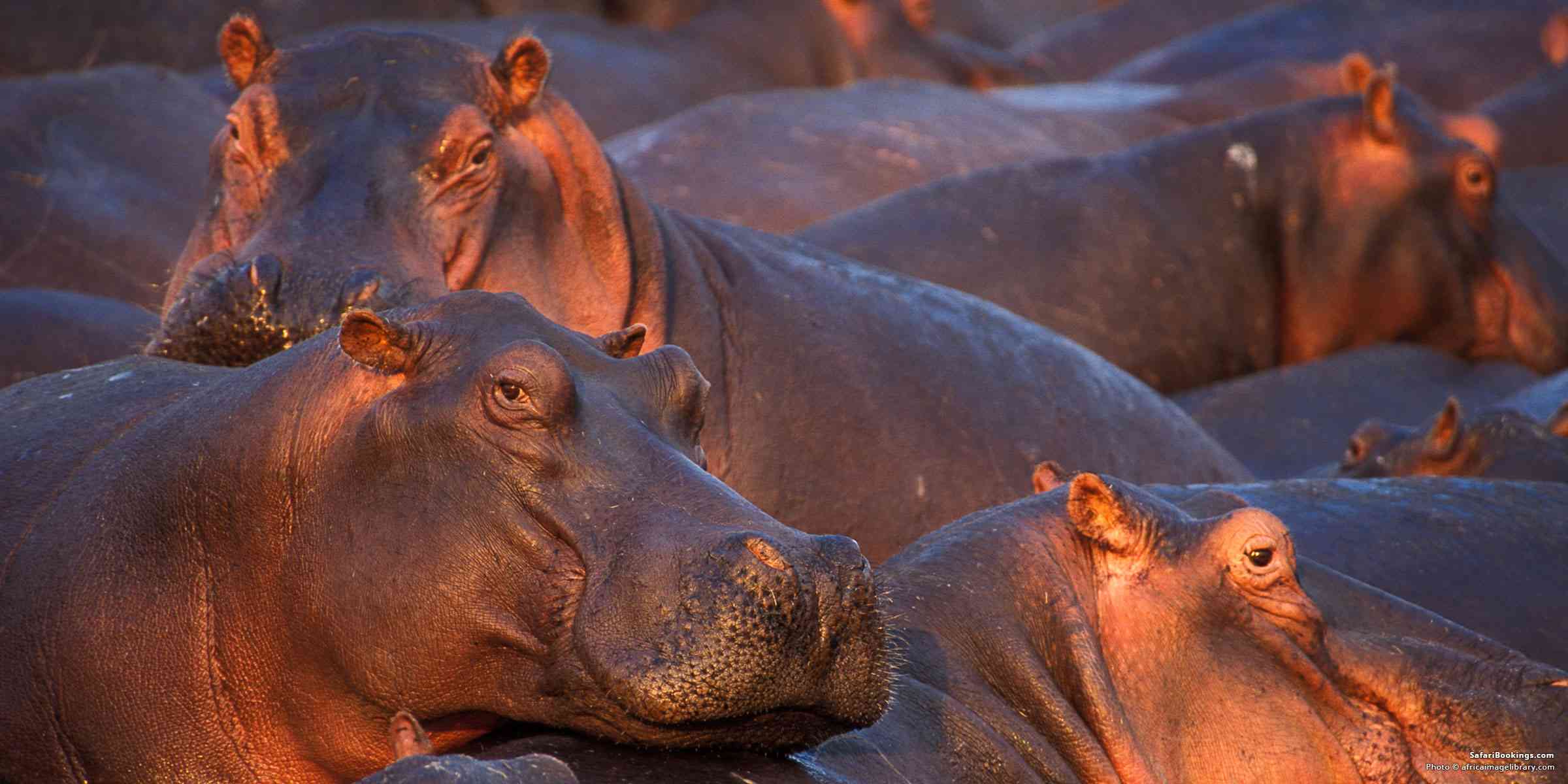 Katavi National Park