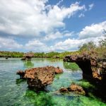Zanzibar Travel Guide