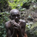 Batwa Pygmy Community Experience in Bwindi