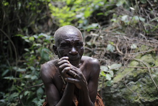 Batwa Pygmy Community Experience in Bwindi