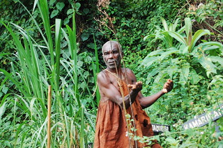 Batwa Pygmy Community Experience in Bwindi