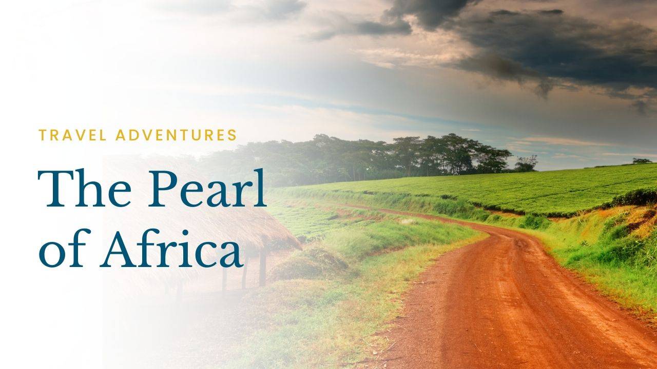 The Pearl of Africa Arrives in Paris
