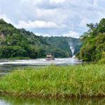 6-day Uganda wildlife safari Murchison Falls to Bwindi itinerary