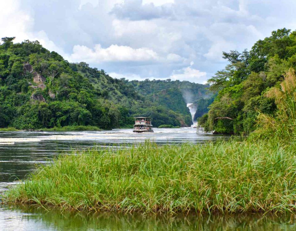 6-day Uganda wildlife safari Murchison Falls to Bwindi itinerary