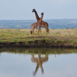Chyulu Hills National Park Green Hills of Africa horseback safari