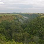 Kyambura Gorge Valley of Apes chimpanzee tracking Uganda