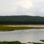 Lake Bogoria National Reserve flamingos and geysers Kenya