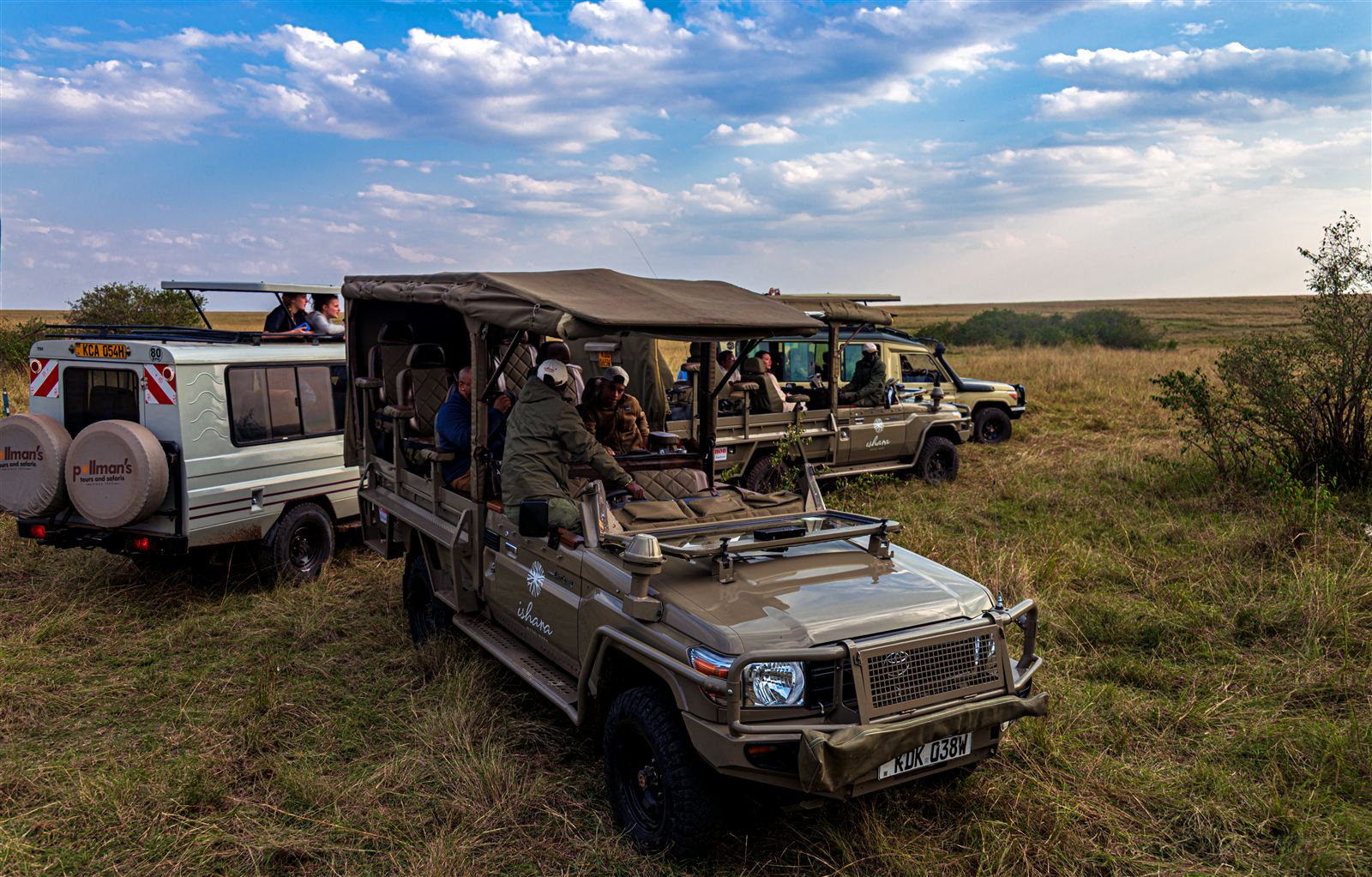 Safari vehicles watching a lion couple in the Maasai Mara, Kenya