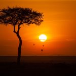 Maasai Mara National Reserve landscape, Kenya