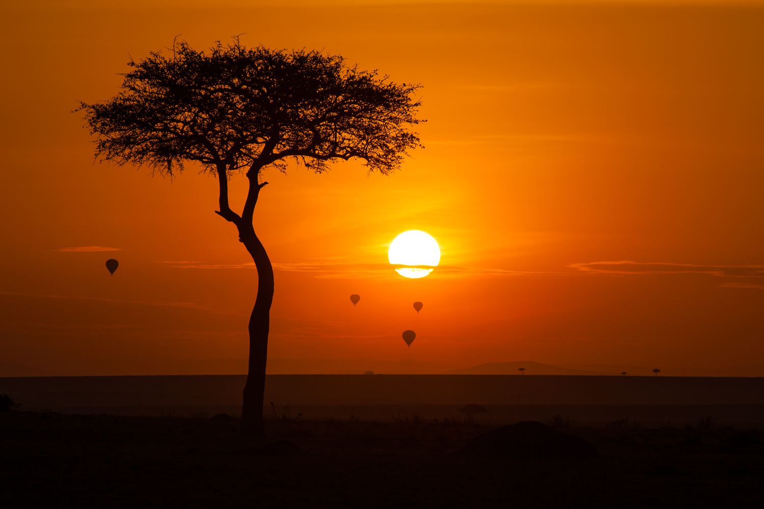 Maasai Mara National Reserve landscape, Kenya