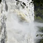 Murchison Falls National Park landscape, Uganda