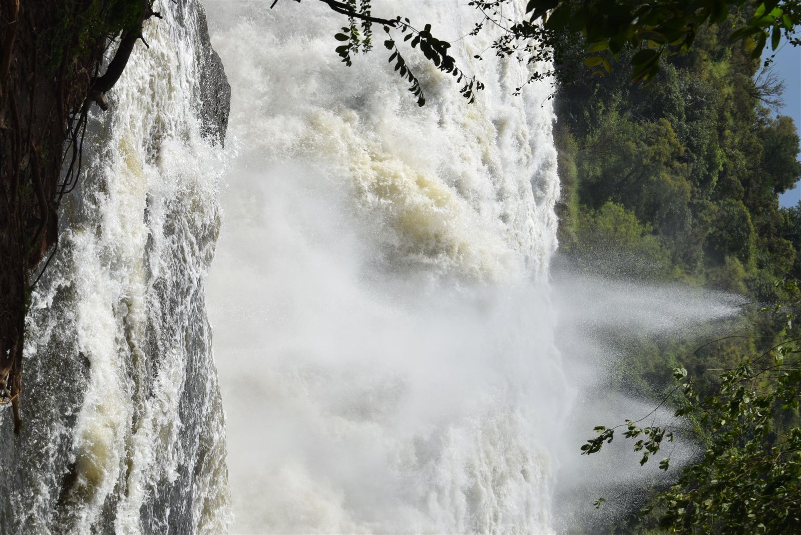Murchison Falls National Park landscape, Uganda