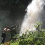 Nyungwe Forest National Park Africa's oldest rainforest Rwanda