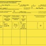 Example International Certificate of Vaccination for Yellow Fever