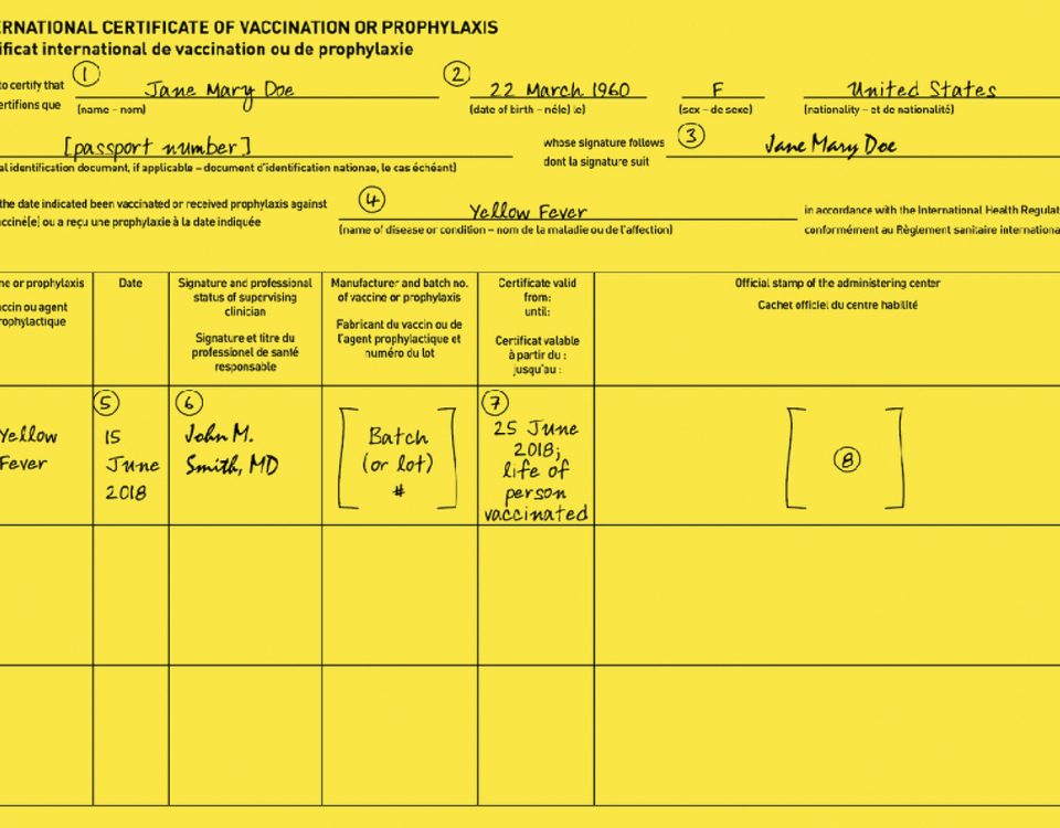 Example International Certificate of Vaccination for Yellow Fever