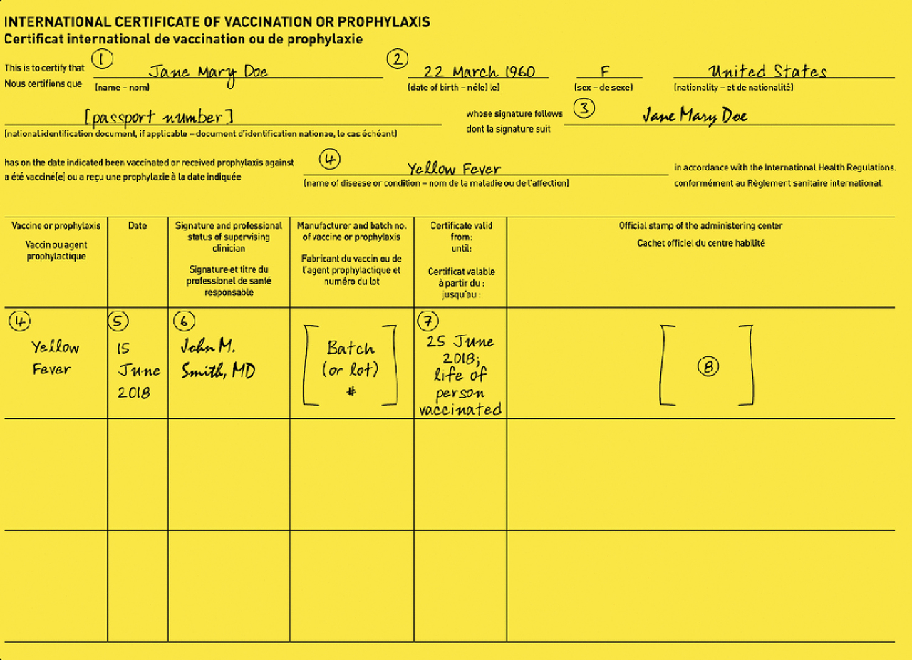 Example International Certificate of Vaccination for Yellow Fever