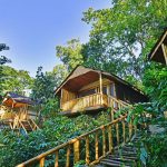 A Guide to Uganda's Community Homestays