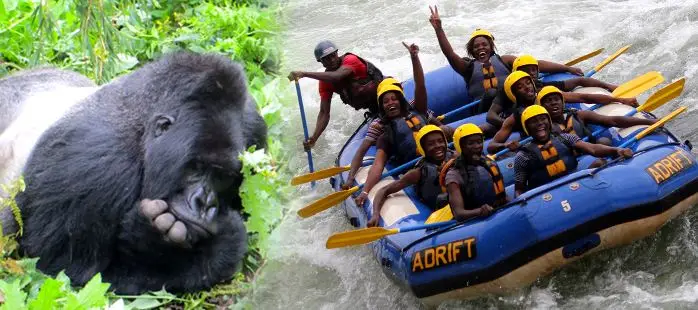 Combining Gorilla Trekking With a Nile Rafting Adventure