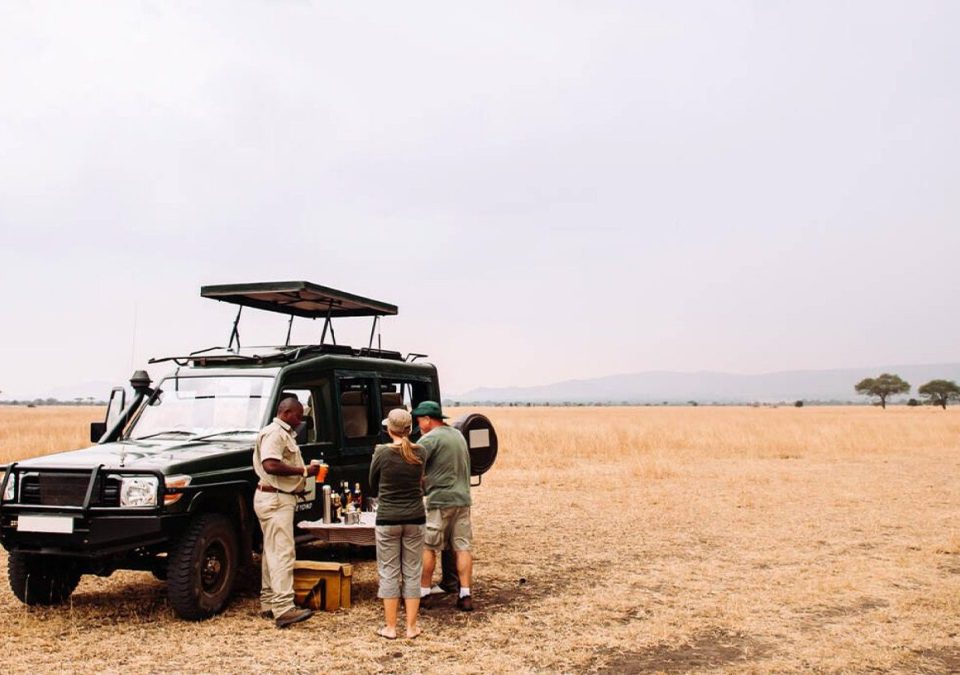 Ranking Kenya's Parks for a Safari Traveler