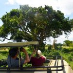 Top Uganda Road Trip Routes for Self-Drivers