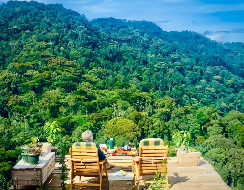 Where Bwindi Sits and Why It Matters